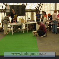 Boloňsk psk Eny