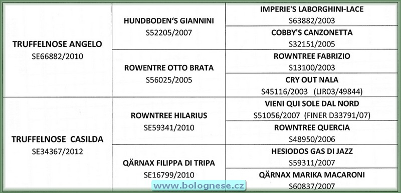 Pedigree Lagotta Rogmanolo