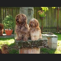 Zoe & Dzhiomik
