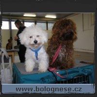 zoom Bobo & Gagi