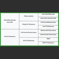 Zoom Bolognese Pachito