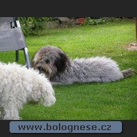 20100718-sam-554