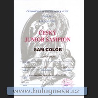 20101102-sam-cesky_junior_sampion