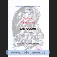 20120123-sam-cesky_sampion