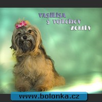 Bolonka Yukon