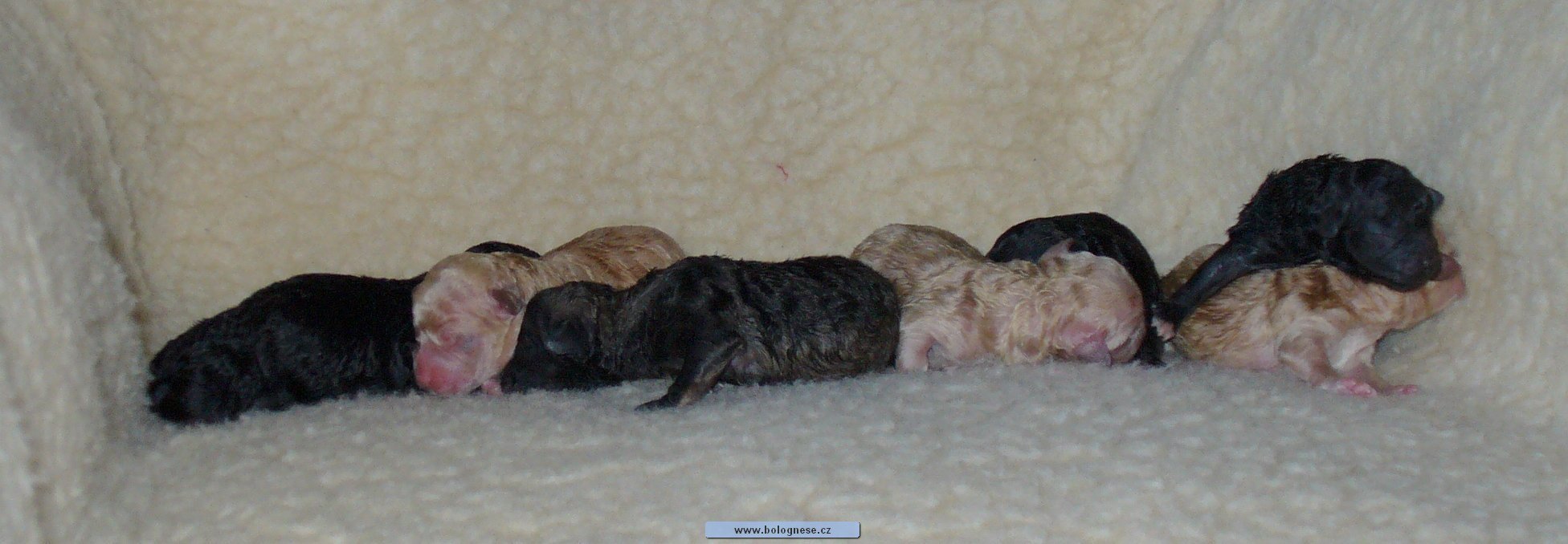 kliknut�m zav��t