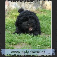 bea_p1040111_cr_small.jpg